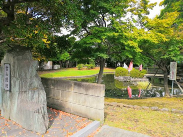 宮山緑地の画像1