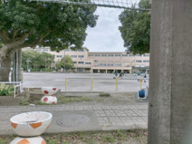 静岡市立清水船越小学校