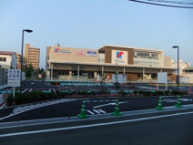 万代 上野芝店