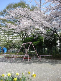 北区立桜田北保育園の画像1