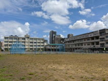 静岡市立新通小学校
