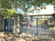 西宮市立小松小学校の画像