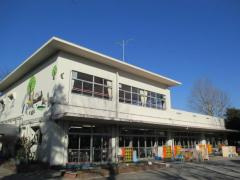 北区立うめのき幼稚園の画像1