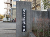 松戸市立河原塚小学校