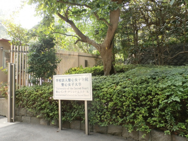 聖心女子大学の画像1