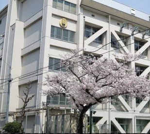 二葉小学校の画像1