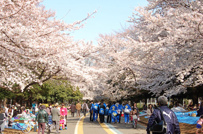 駒沢公園の画像1