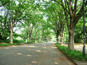 駒沢公園の画像2