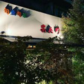 安兵衛