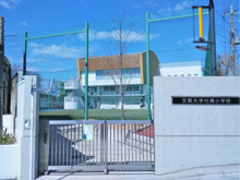 小学校 文教大学付属小学校