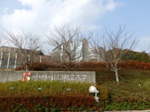 県立大学看護栄養学部