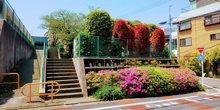 公園 雪ヶ谷住宅公園