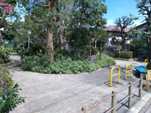 中井児童公園