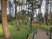 公園 鵜の木松山公園