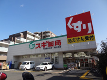 ドラッグストア スギ薬局 大田鵜の木店
