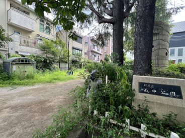 山中公園の画像1