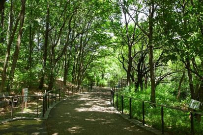 赤羽自然観察公園の画像1