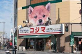 ペットの専門店 コジマ 八王子店