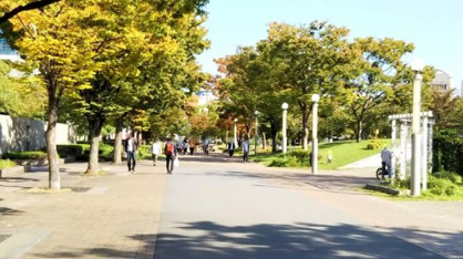 扇町公園の画像1