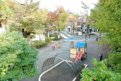若葉公園の画像1