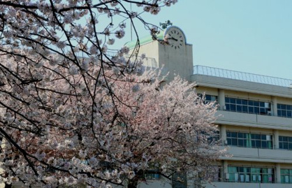 座間市立南中学校の画像1