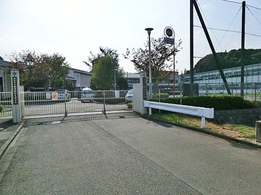 横浜市立新治小学校の画像1
