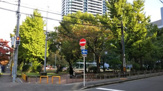 野崎公園