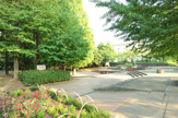 大津ケ丘中央公園