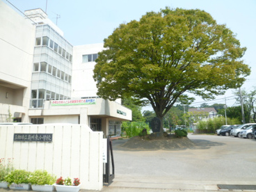 高州小学校の画像1