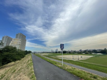 多摩川土手