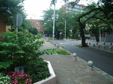 東深沢中学校の画像3