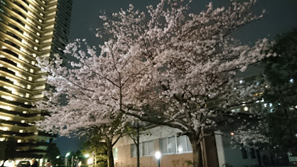 多摩川児童館の画像1