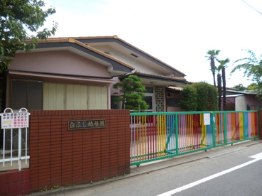 白ふじ幼稚園の画像3