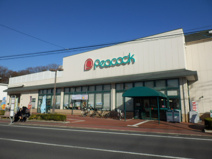 ピーコックストア　国立弁天通り店