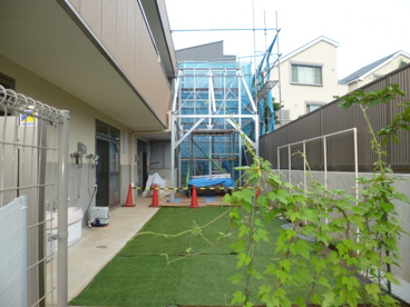 認可私立 愛里武蔵関保育園の画像3