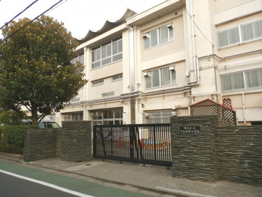 練馬区立 下石神井小学校の画像2