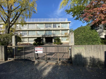 粕屋町立大川小学校