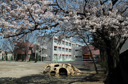 東京学芸大学附属 大泉小学校の画像1
