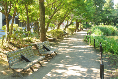 宝来公園の画像2