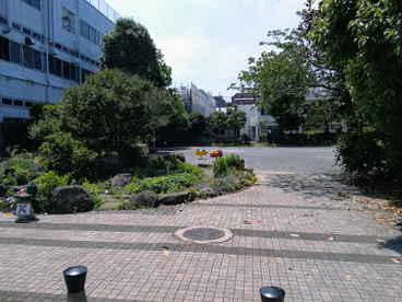 矢口せせらぎ公園の画像1