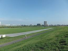 六郷土手河川敷公園の画像1