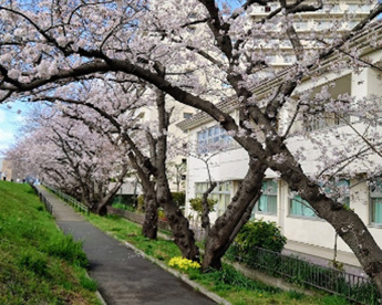 多摩川六郷橋緑地の画像1