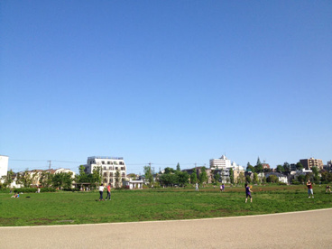 桃井原っぱ公園の画像1