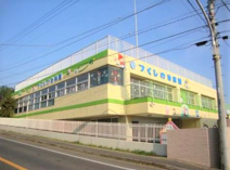 つくしの幼稚園