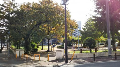 長柄公園の画像1