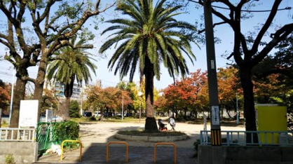 本庄公園の画像1