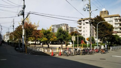 中津中央公園の画像1