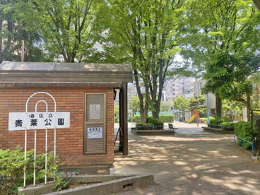 青葉公園の画像1