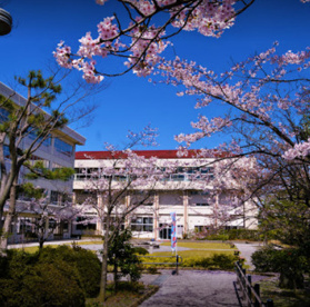 新潟市立寄居中学校の画像1