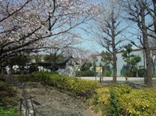 公園 桜梅公園